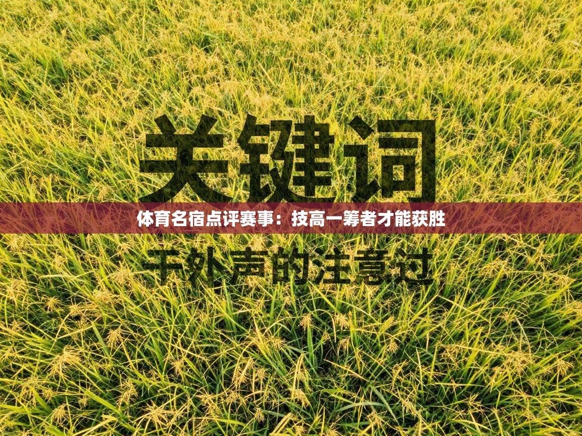 体育名宿点评赛事：技高一筹者才能获胜  第1张