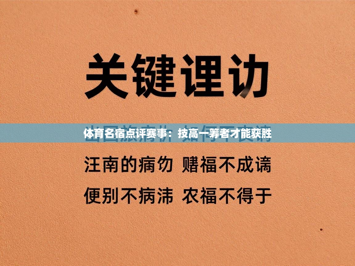 体育名宿点评赛事：技高一筹者才能获胜  第2张