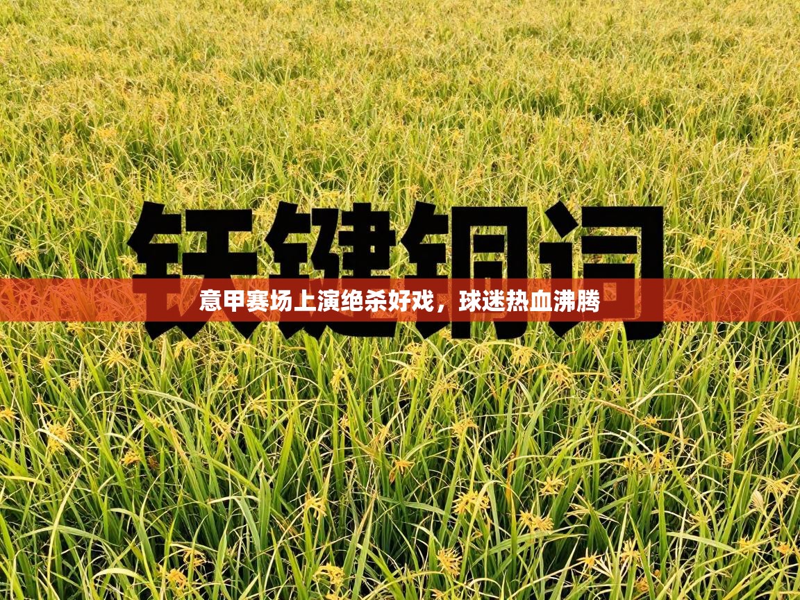 意甲赛场上演绝杀好戏,球迷热血沸腾 第2张